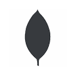 MongoDb