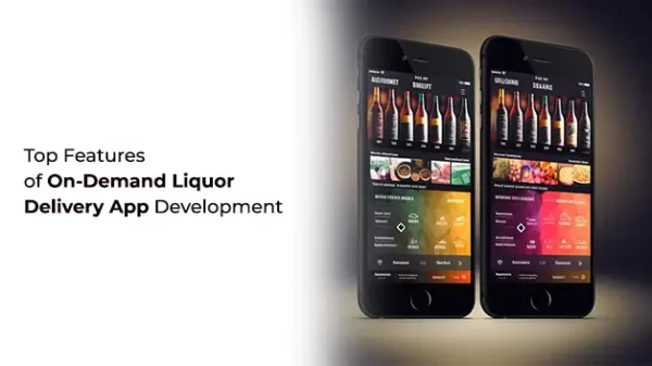 Liquor Delivery App Development Guide